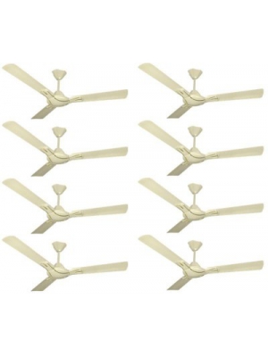 Black Cat Carino Iv-8 3 Blade Ceiling Fan(Ivory)