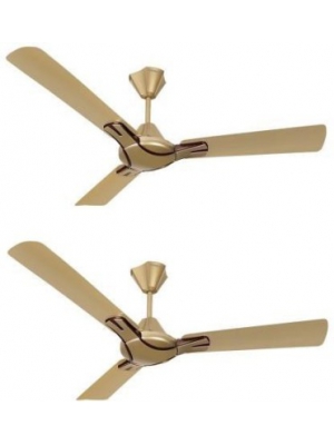 Havells Nicola Pack Of 2 Bronze Copper 3 Blade Ceiling Fan Brown