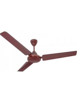 Havells Pacer 3 Blade Ceiling Fan(Maroon)