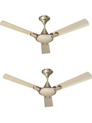 Inalsa Exotica (Pack of 2) 3 Blade Ceiling Fan(Birkin Gold)