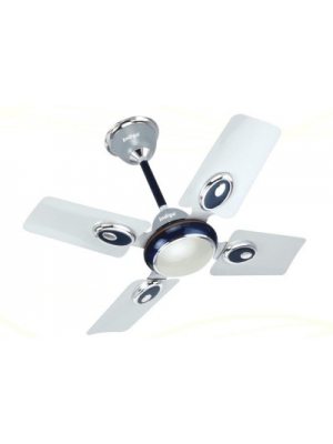 Blade Ceiling Fan(Multicolor 
