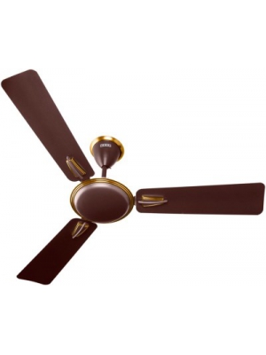 Usha Vetra 1200mm 3 Blade Ceiling Fan Brown Lowest Price In India