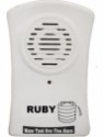 Ruby Jupiter water over flow alarm Wired Sensor Security System