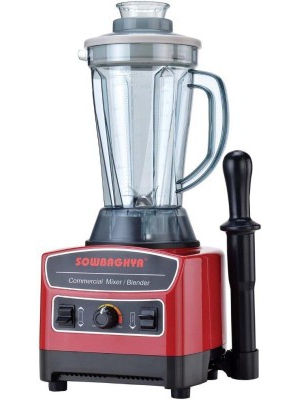 kanchan ganga mixer grinder price