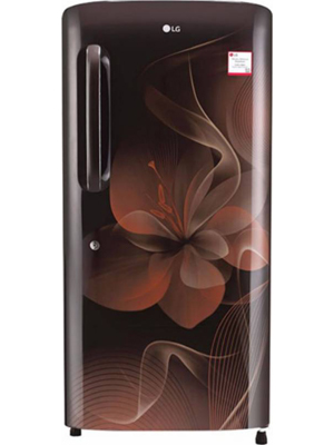 LG 215 L Direct Cool Single Door Refrigerator (GL-B221AHDX)