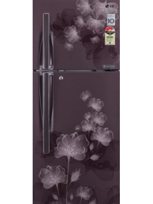 LG 255 L Frost Free Double Door Refrigerator(GL-F282RGFL, Graphite Florid, 2016)
