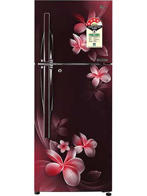 lg 260 l frost free double door refrigerator