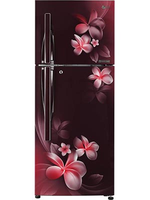 LG 308 L Frost Free Double Door 4 Star Refrigerator GL-T322RSPN