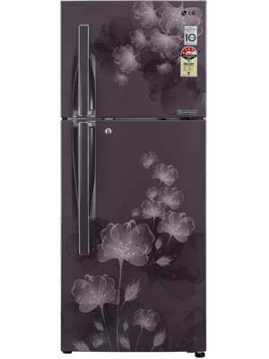 lg double door 258 ltr smart inverter refrigerator