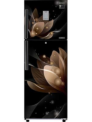 Samsung RT28N3923R8/HL 253 L 3 Star Frost free Double Door Refrigerator