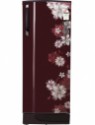 Godrej RD ESX 266 TAF 3.2 251 L 3 Star Direct Cool Single Door Refrigerator