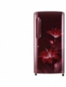 LG GL-B221ARGX 215 L 4 Star Direct Cool Single Door Refrigerator