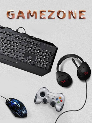 Gaming Accessories at the Gamezone