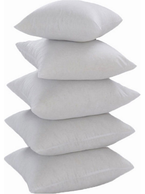 Polyester 16 x 16 inch Cushion Insert - Set of 5