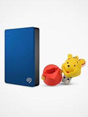 Great offers on Hard Disks & Pendrives