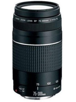 Canon Ef 75 300 Mm F 4 5 6 Iii Lens Black Telephoto Zoom Lens Lowest Price In India With Full Specs Reviews Online