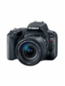 Canon EOS Rebel SL2 DSLR Camera with EF-S 18-55mm f/4-5.6 IS STM Lens