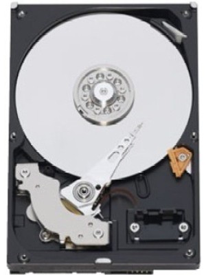 Seagate Barracuda 1 TB Desktop Internal Hard Drive (ST1000DM003)