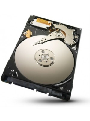 Seagate Momentus 250 GB Laptop Internal Hard Drive (ST9250315AS)