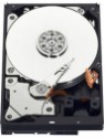 WD Blue WD10EZEX 1 TB Internal Hard Drive