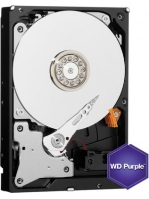 WD 1 TB Desktop Internal Hard Drive (WD10PURX)