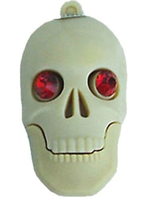 Dreambolic Skull 16 GB Pen Drive(White)