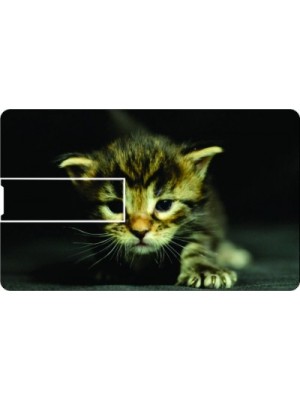Printland Credit Card Cute Kitty 8 GB Pen Drive(Multicolor)
