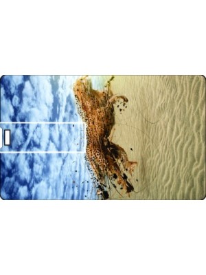 Printland Credit Card Desert_1 8 GB Pen Drive(Multicolor)