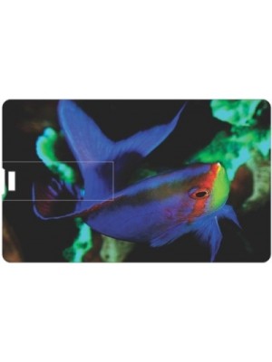 Printland Credit card Flashy PC80617 8 GB Pen Drive(Multicolor)