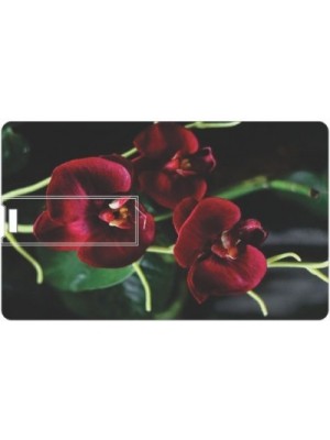 Printland Orchid PC84830 8 GB Pen Drive(Multicolor)