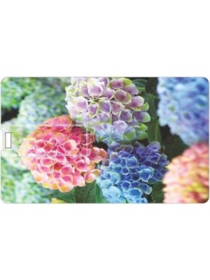 Printland Season flower PC160035 16 GB Pen Drive(Multicolor)