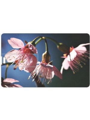 Printland Season Flowers PC89225 8 GB Pen Drive(Multicolor)