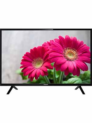 Champion 24 Inch Full HD LED TV Price in with Specifications & online