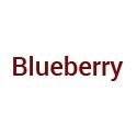 Blueberry mobiles price list in india