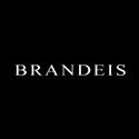 Brandeis mobiles price list in india