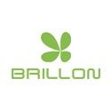 Brillon mobiles price list in india