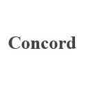 Concord mobiles price list in india