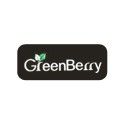 Greenberry mobiles price list in india