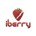 iberry mobiles price list in india