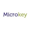 Microkey mobiles price list in india