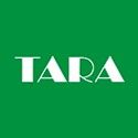 Tara mobiles price list in india