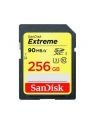 Buy Sandisk 256GB MicroSDXC Class 10 SDSDXNF-256G
