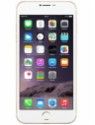 Greenberry 6 Plus